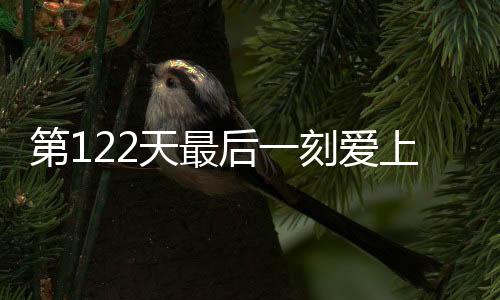 《穿书年代小可怜，奋斗逆袭不炮灰》全文在线阅读