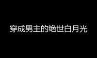 穿成男主的绝世白