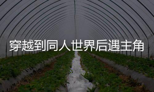 《夫人你马甲又掉了》全文在线阅读