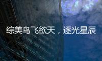 综美鸟飞欲天，逐
