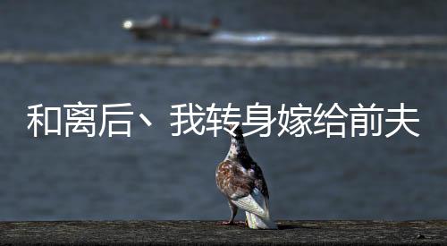 和离后丶我转身嫁给前夫死对头
