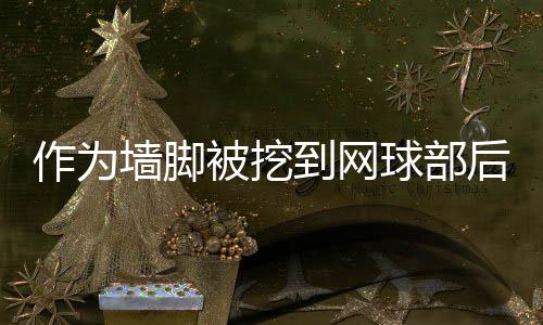 作为墙脚被挖到网球部后