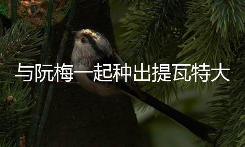 《重生年代，福气包在厂区吃瓜看戏》全文在线阅读