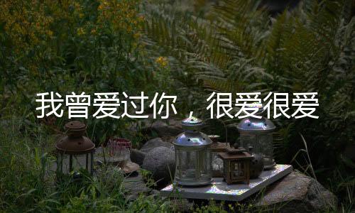 《恰似寒光遇骄阳》全文在线阅读