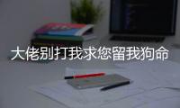 大佬别打我求您留