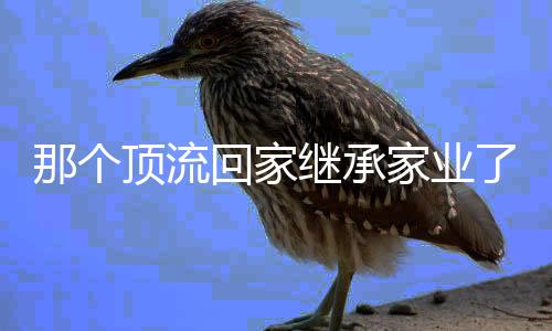 《惊！糙汉老公是年代文隐藏大佬》全文在线阅读