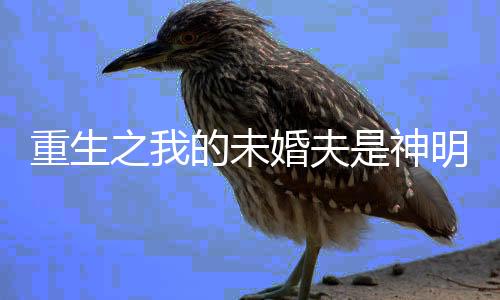 重生之我的未婚夫是神明